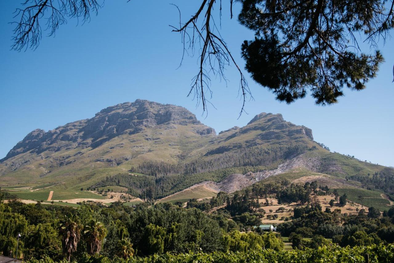Simonzicht Guest House Stellenbosch Zewnętrze zdjęcie